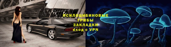 трава Михайловск