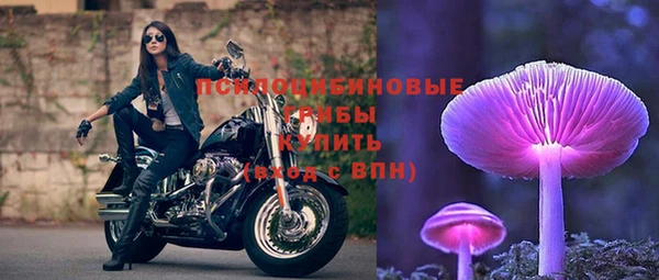 тгк Михайловка